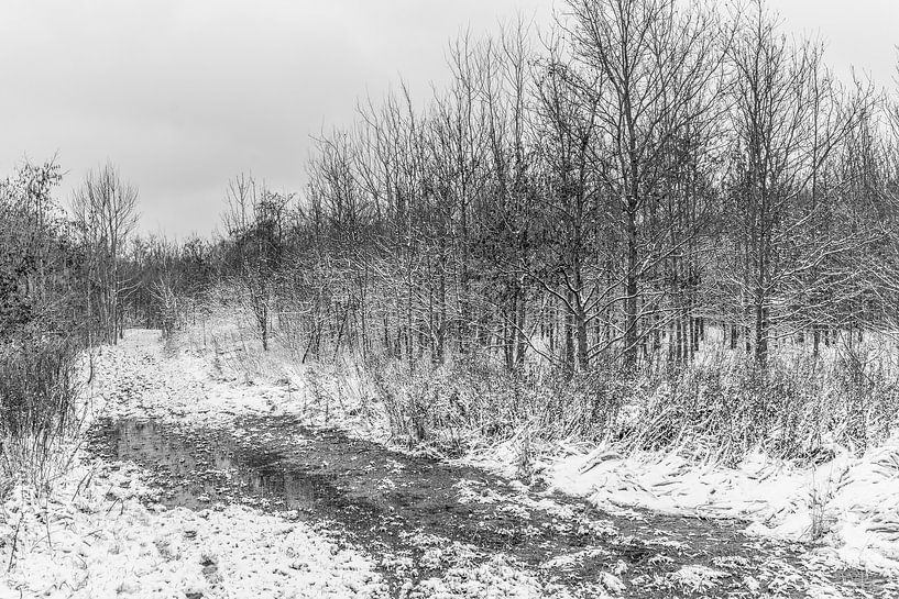 Sneeuwlandschap van Stefaan Tanghe