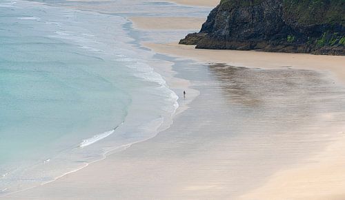 1316 Alone on the beach