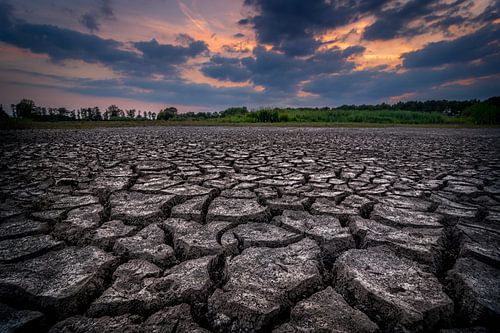 De uitgedroogde aarde