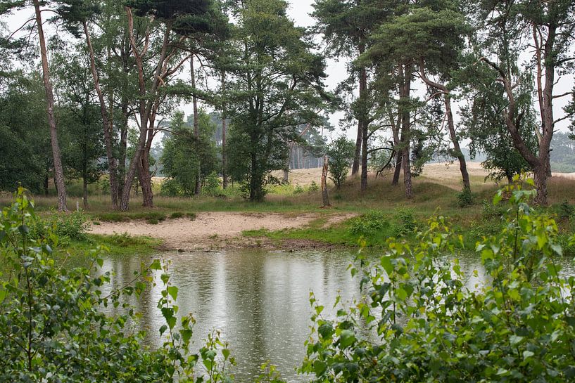 Wekeromse Zand by Cilia Brandts