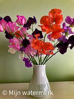 Thanks for the Flowers