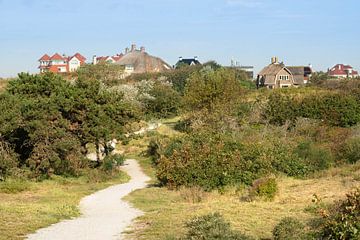 Promenade dans les dunes près de Noordwijk aan Zee. sur Alie Ekkelenkamp