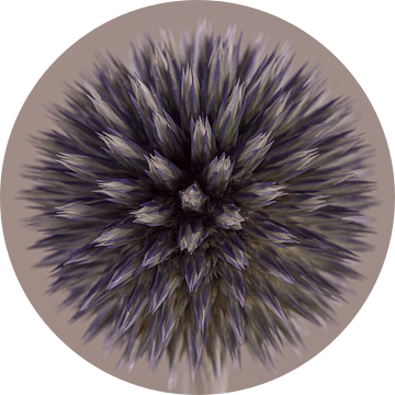 Ronde Kogeldistel met taupe kleurige achtergrond van Marjolijn van den Berg