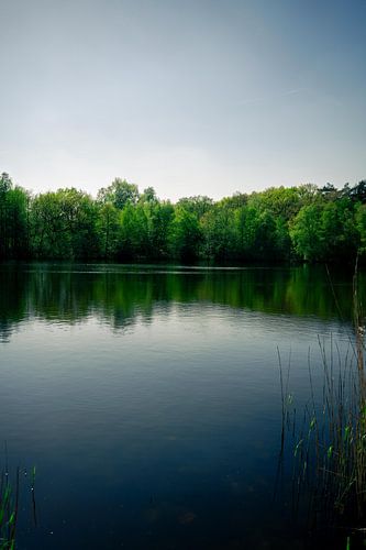 As still as a mirror