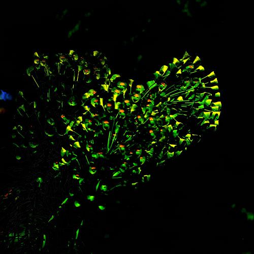 28 Jochumhof hart van bloemetjes