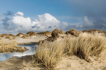 Die Niederlande wandern in den Dünen von Watteninsel Terschelling von Marianne van der Zee