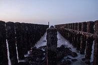 Posts by Vince Pellegrom thumbnail