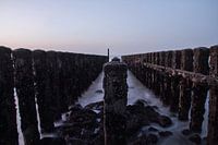Posts
