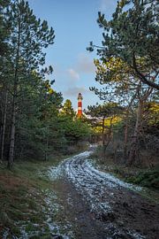 Winter path to the lighthouse, Ameland by Tiziana Cambarau Fotografie