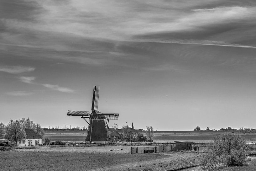 Windmühle in der friesischen Landschaft vor Workum von Harrie Muis