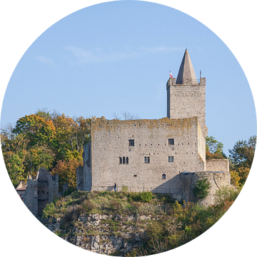 Kasteelruïne Rudelsburg