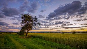 Heimat