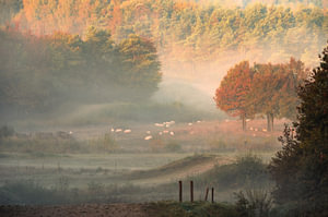 Kwintelooijen Teil 28