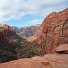 Canyon Overlook Trail Zion National park van Discover Dutch Nature