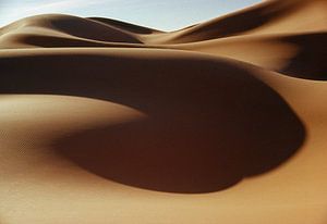 Sand dunes in Sahara desert by Frans Lemmens