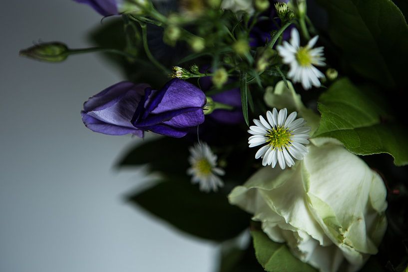 Donkere bloemenspel by Anna H Span