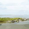 Landschap - Land dat bij vloed overstroomt. van Alies werk