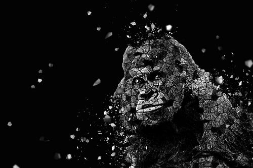 la mosaique du gorille II