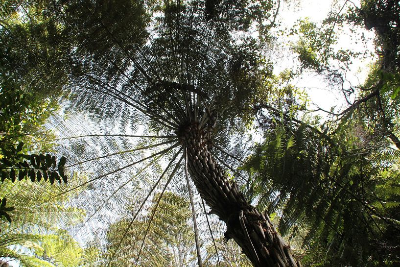 Bijzonder plaatje par Tineke Mols