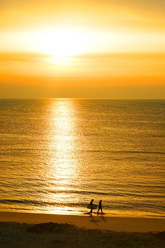 Surfers in the evening light