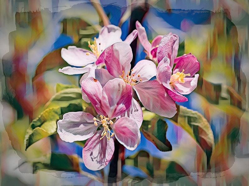 Roze bloesem van Rob Boon