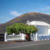 Lanzarote - Ermita de la Caridad, die kleine Kapelle in den Weinbergen von La Geria von t.ART