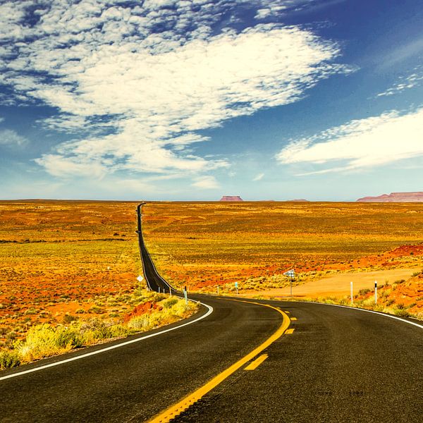 Panorama landscape wide country highway in west of USA by Dieter Walther