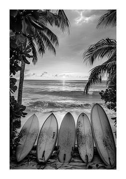 Surfboards on a tropical beach at sunrise by Felix Brönnimann