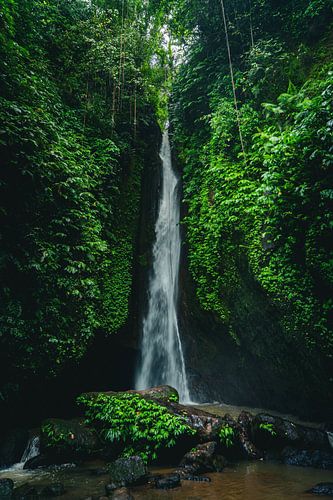 Waterfall in Bali