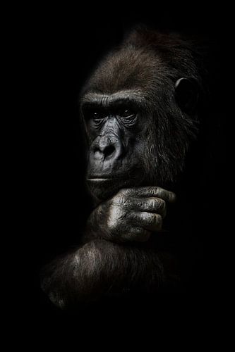 Pensive pose,
