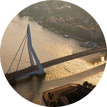 Erasmusbrug vanuit de lucht gezien te Rotterdam van Anton de Zeeuw