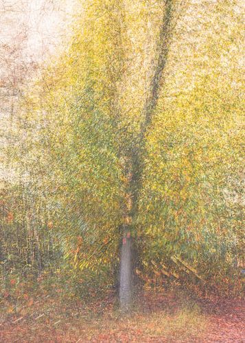 Leersum field part 24