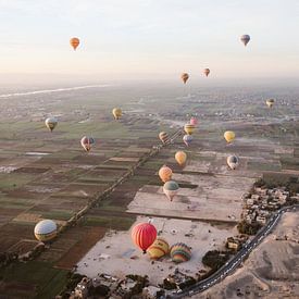 Gekleurde Luchtballonnen zonsopkomst de Nijl Luxor, Egypte van Hannah Hoek