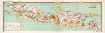 Alte Karte von Java und Madura von Studio Wunderkammer