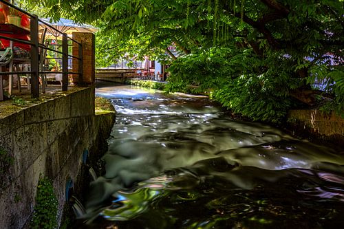 Une ambiance idyllique dans le quartier des pêcheurs d'Ulm
