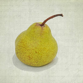 Portret van een peer