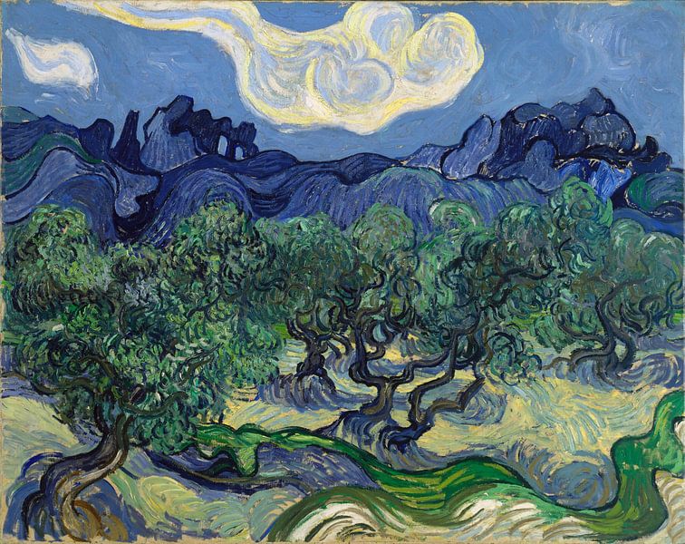 Olivenbäume - Vincent van Gogh von 1000 Schilderijen