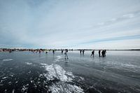 Nieuwkoopse Plassen im Winter mit Eis