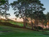 Golf course at dawn