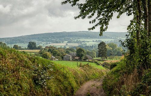 Prachtige Holleweg bij Epen