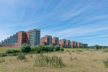 Panorama op de maas boulevard in Den Bosch op een mooie zomerse dag