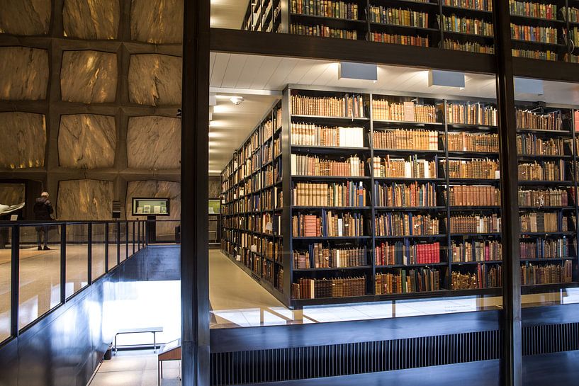 Beinecke seltsames Buch &amp; Manuskript-Bibliothek von Annelies Martinot