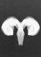 FERTILE - Aries