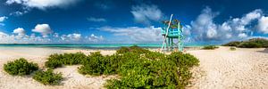 Karibischer Strand auf der Insel Bonair in der Karibik. von Voss Fine Art Fotografie