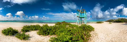 Plage des Caraïbes sur l'île de Bonair, dans les Caraïbes.