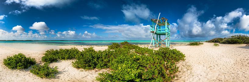 Caribbean beach on the island of Bonair in the Caribbean. by Voss Fine Art Fotografie