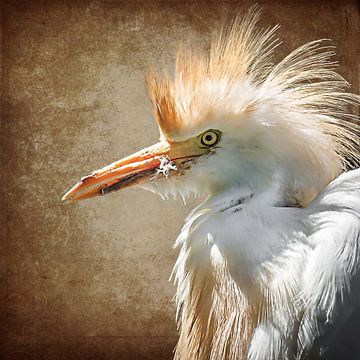 The Cattle Egret (digital art) by Art by Jeronimo
