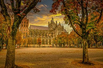 Sint-Janskathedraal in 's-Hertogenbosch  op een prachtige herfst ochtend
