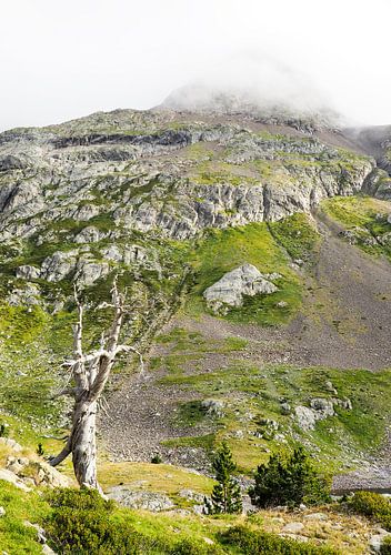 Pyreneeën, wilde Pyreneeën, bergen, wandelen, natuur, wildernis, outdoor, bergen, Frankrijk, Spanje, berglandschap, landschapsfotografie, natuurfotografie, muurschildering bergen, canvas print natuur, fine art print, natuurfoto, avontuur, natuurparadijs, wanderlust, bergwandelen, top, bergpanorama, natuurkunst, bergliefde, vrijheid, wanderlust, berglandschap, wanderlust, fotokunst, outdoor fotografie, Alpengebied