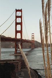 Plumes pour le Golden Gate Bridge à San Francisco | Photographie de voyage Tirage photo d'art | Cali sur Sanne Dost